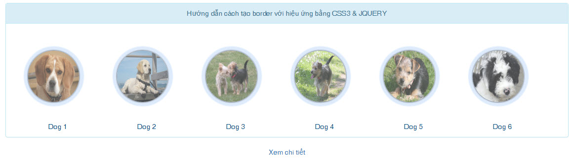 Hướng dẫn cách tạo border với hiệu ứng bằng CSS3 & JQUERY